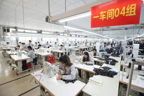 挺起高質(zhì)量發(fā)展的堅(jiān)實(shí)脊梁——全市產(chǎn)業(yè)集聚區(qū)發(fā)展綜述與技術(shù)服務(wù)支撐