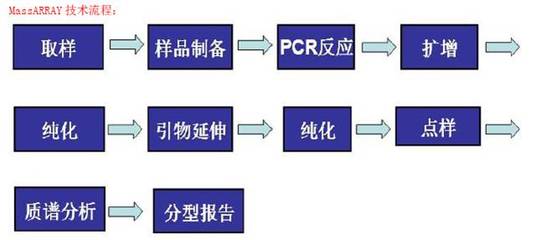 晶能生物技術(shù)(上海) Sequenom MassArray SNP分型技術(shù)服務(wù)報(bào)價(jià)詳解